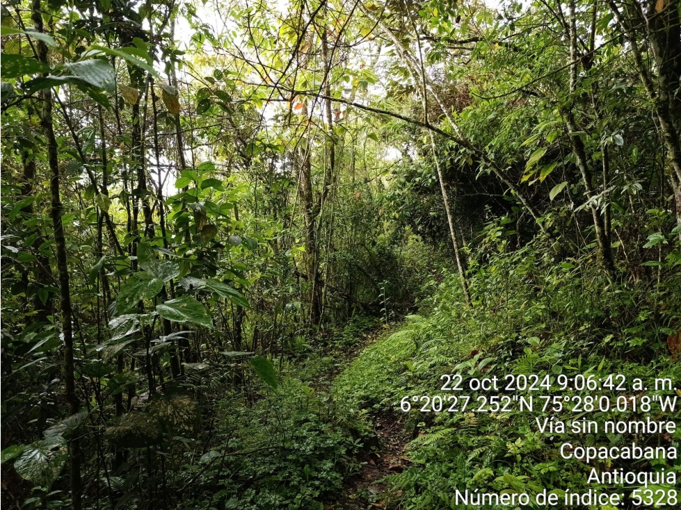 LOTE en Gestion - COPACABANA, ANTIOQUIA — foto 2