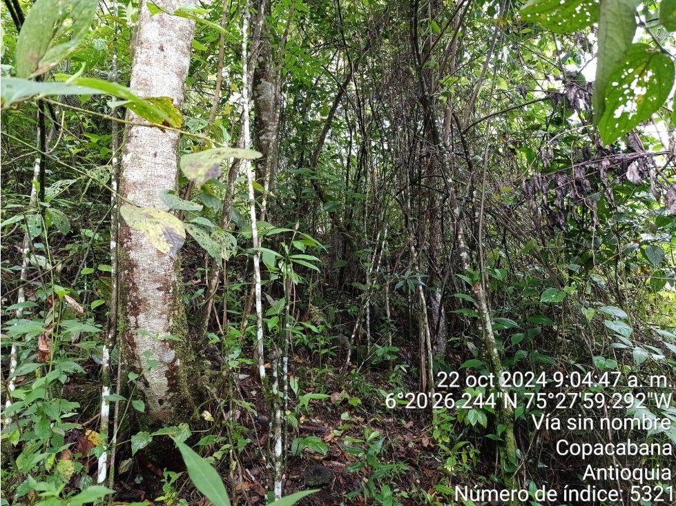 LOTE en Gestion - COPACABANA, ANTIOQUIA — foto 3