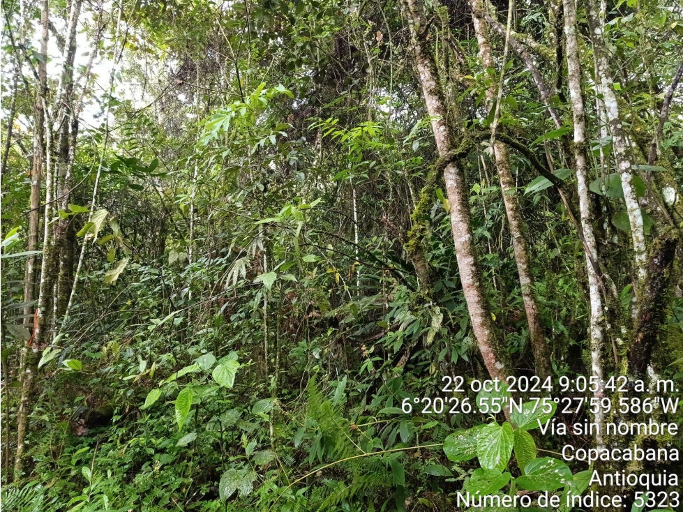 LOTE en Gestion - COPACABANA, ANTIOQUIA — foto 4