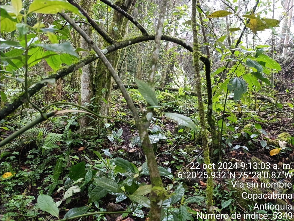 LOTE en Gestion - COPACABANA, ANTIOQUIA