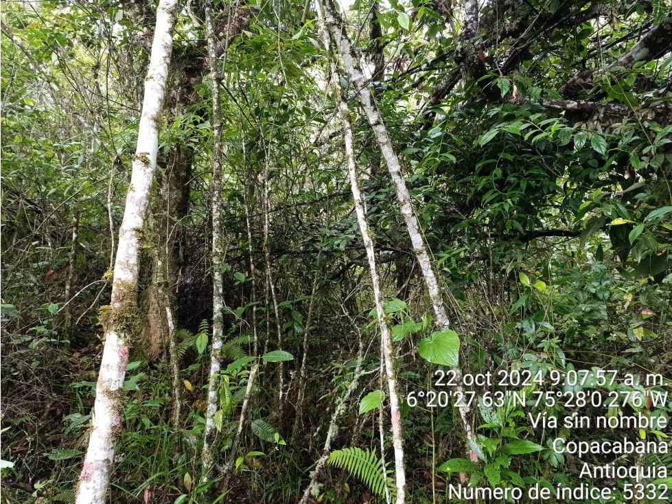 LOTE en Gestion - COPACABANA, ANTIOQUIA — foto 5