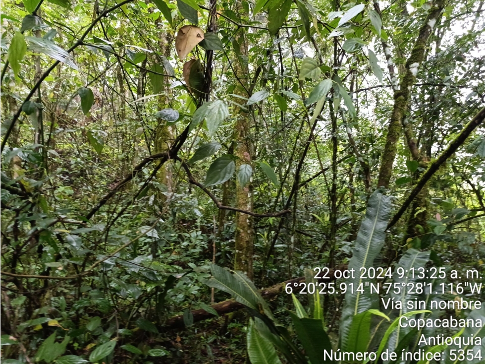 LOTE en Gestion - COPACABANA, ANTIOQUIA — foto 2