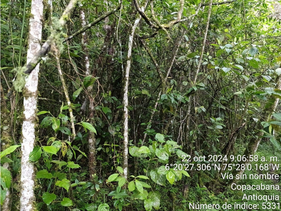 LOTE en Gestion - COPACABANA, ANTIOQUIA — foto 6