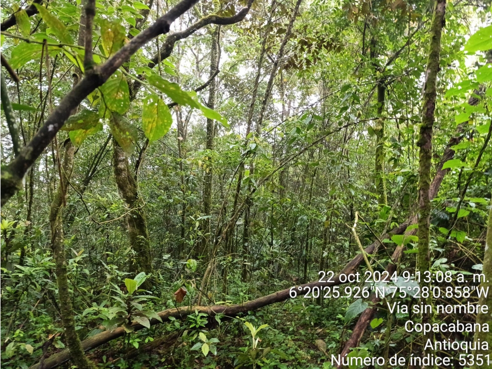 LOTE en Gestion - COPACABANA, ANTIOQUIA — foto 3