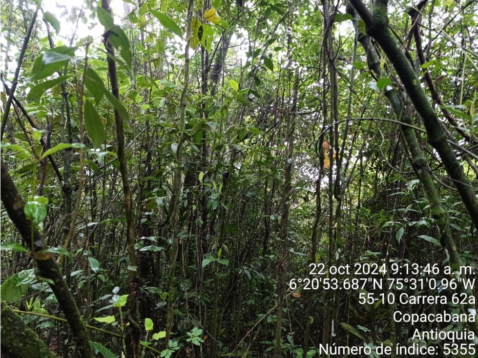 LOTE en Gestion - COPACABANA, ANTIOQUIA — foto 4