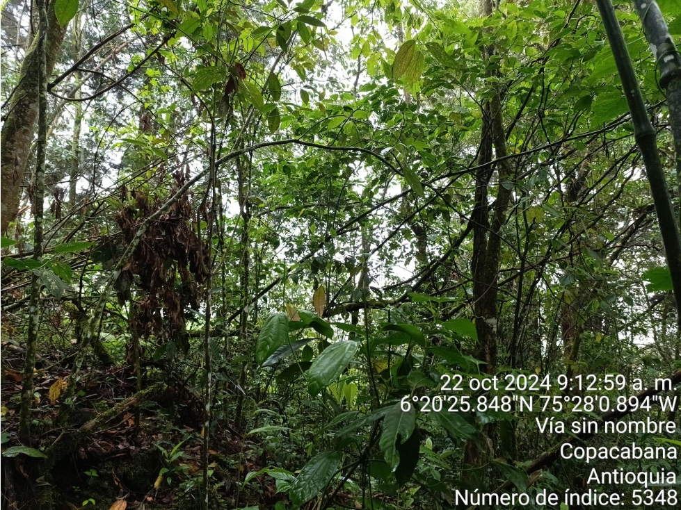 LOTE en Gestion - COPACABANA, ANTIOQUIA — foto 5