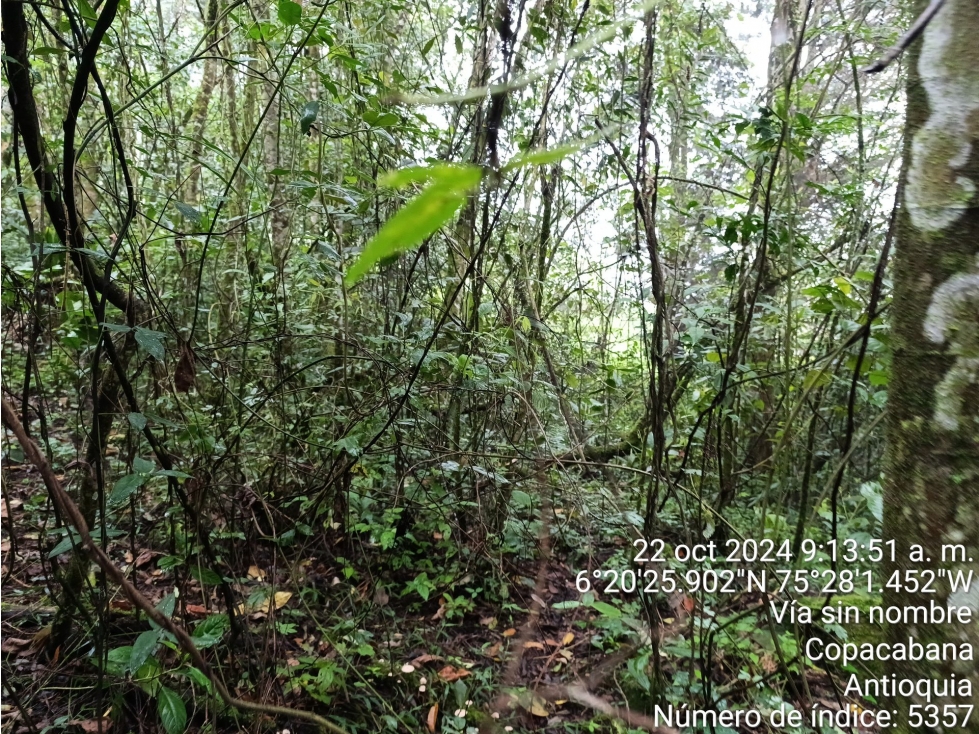 LOTE en Gestion - COPACABANA, ANTIOQUIA — foto 6