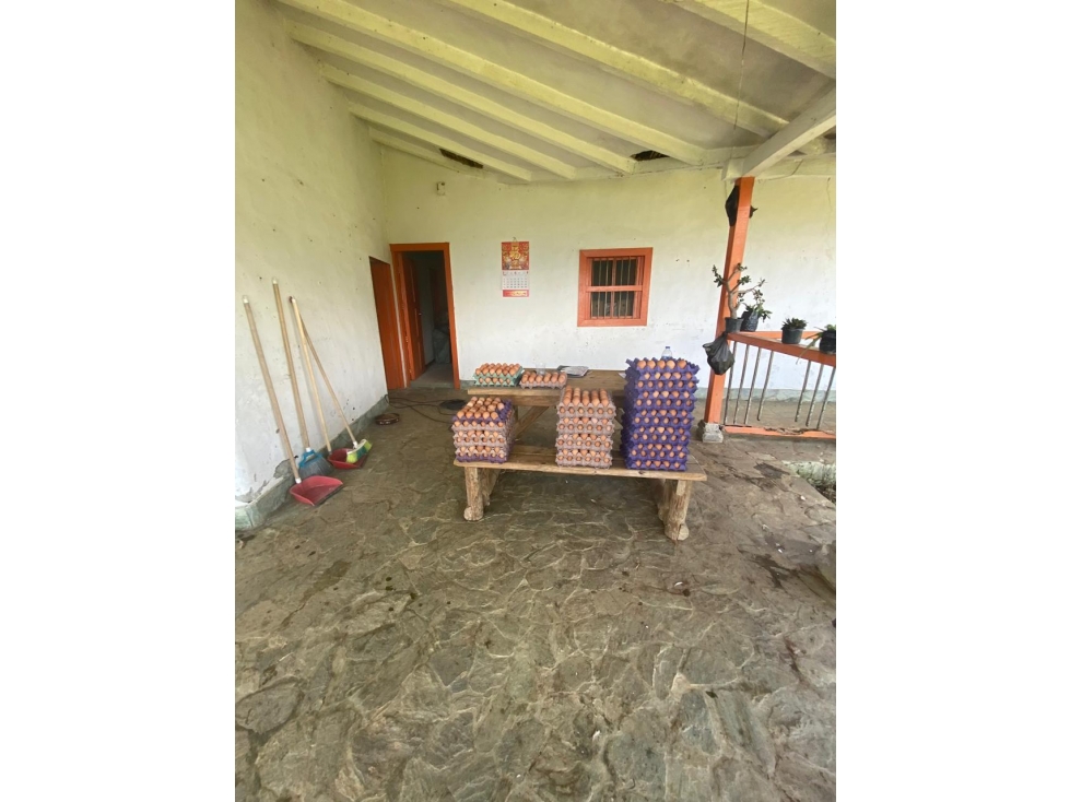 LOTE en Gestion - COPACABANA, ANTIOQUIA — foto 5
