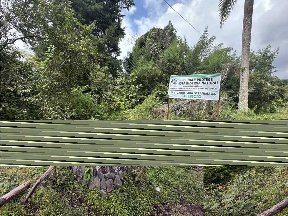 LOTE en Gestion - Dagua, Valle Del Cauca - 1