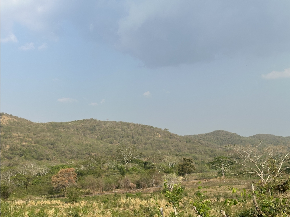 LOTE en Gestion - El Carmen De Bolívar, Bolívar - 1