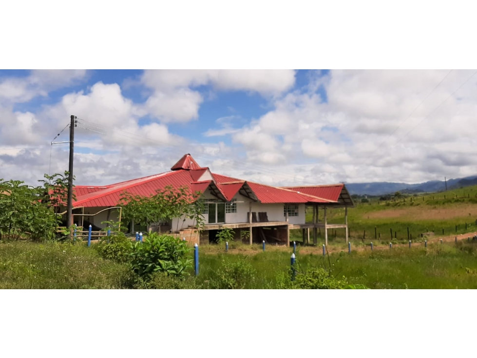 LOTE en Gestion - Florencia, Caqueta