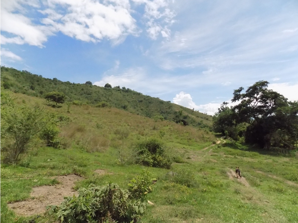 LOTE en Gestion - Guadalajara De Buga, Valle Del Cauca