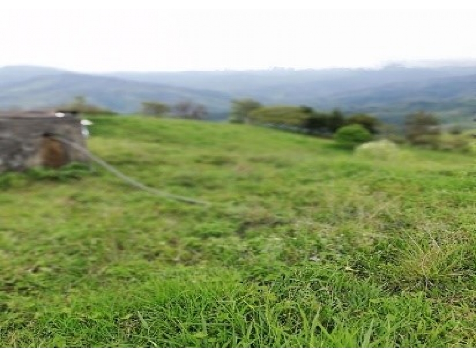 LOTE en Gestion - Guadalajara De Buga, Valle Del Cauca