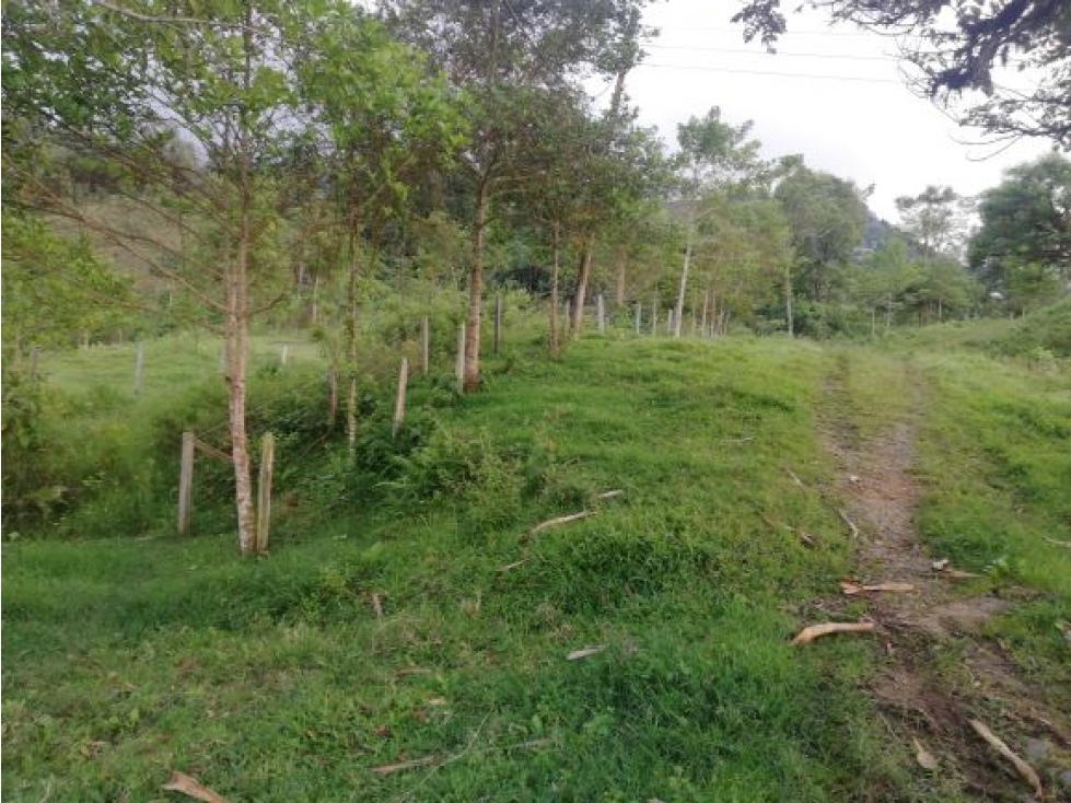 LOTE en Gestion - Guadalajara De Buga, Valle Del Cauca