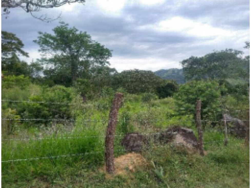 LOTE en Gestion - Guaduas, Cundinamarca