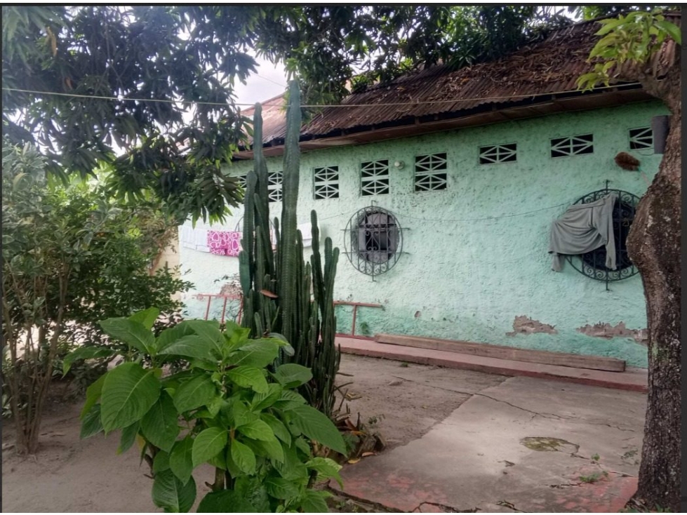 LOTE en Gestion - GUAMO, TOLIMA - 5