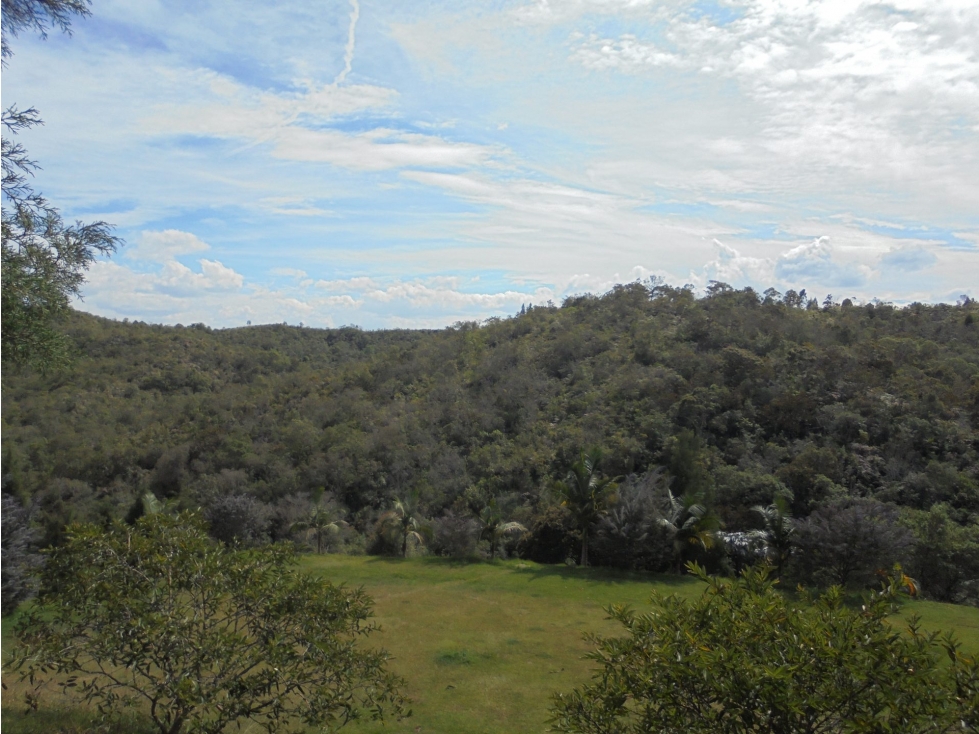 LOTE en Gestion - Guarne, Antioquia — foto 4