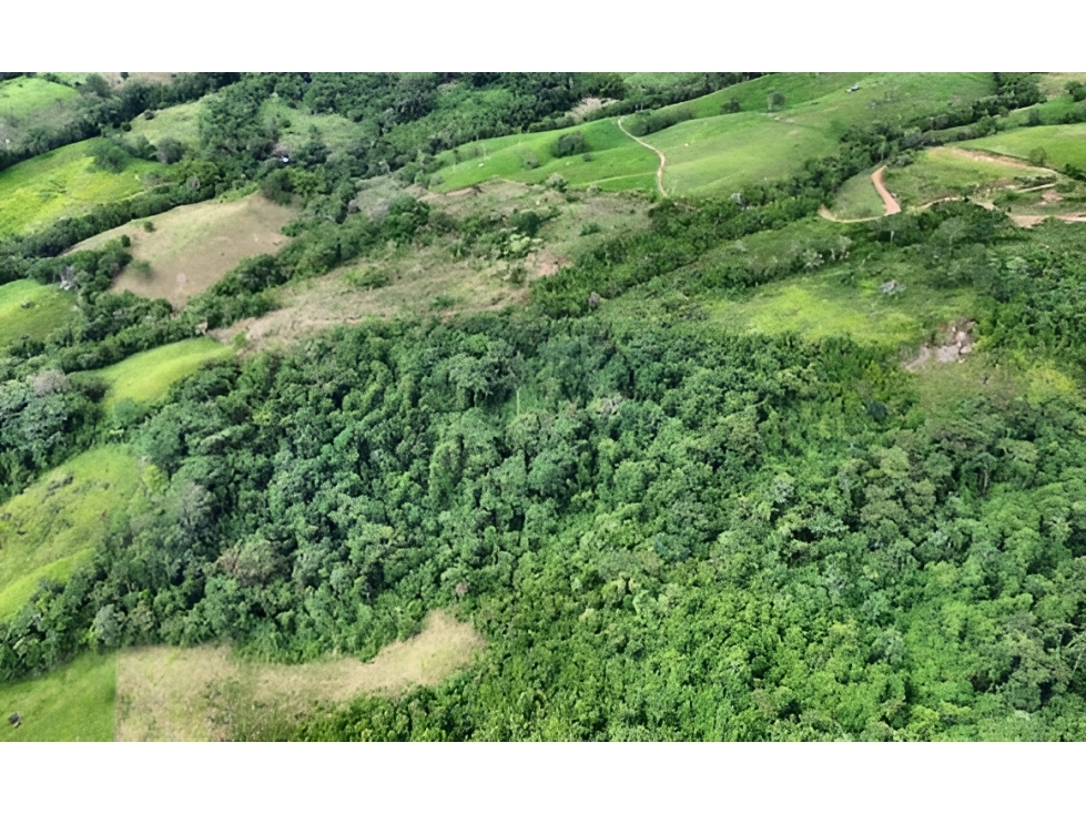 LOTE en Gestion - Icononzo, Tolima