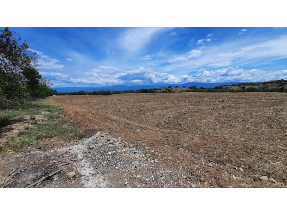 LOTE en Gestion - Lerida, Tolima - 1