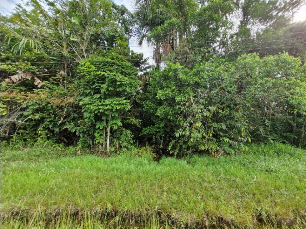 LOTE en Gestion - Leticia, Amazonas