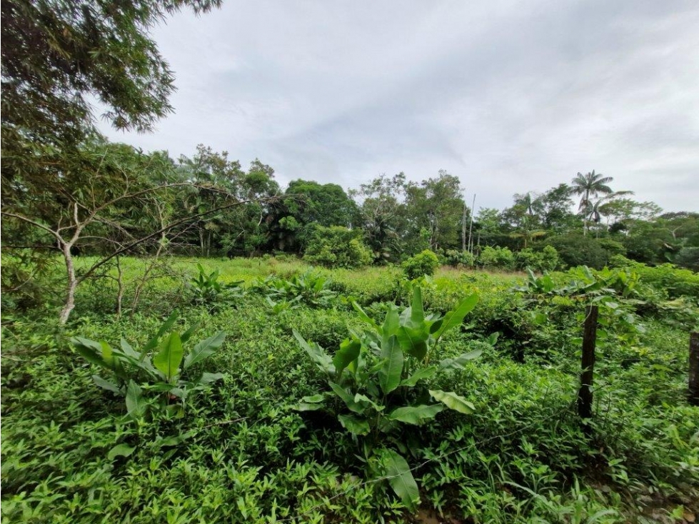 LOTE en Gestion - Leticia, Amazonas