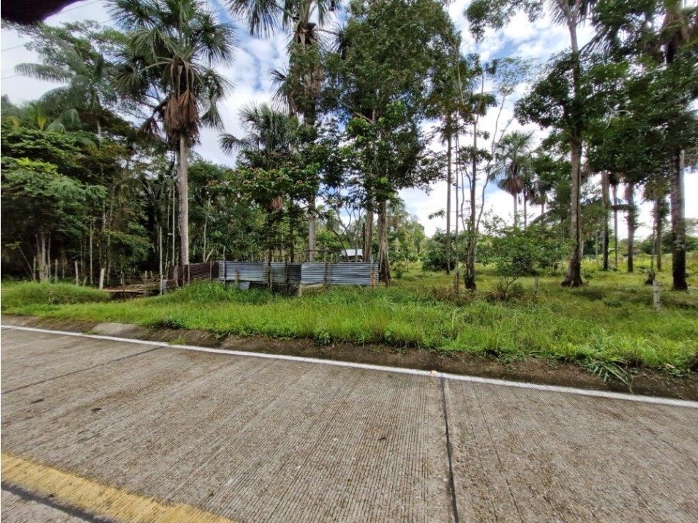 LOTE en Gestion - Leticia, Amazonas