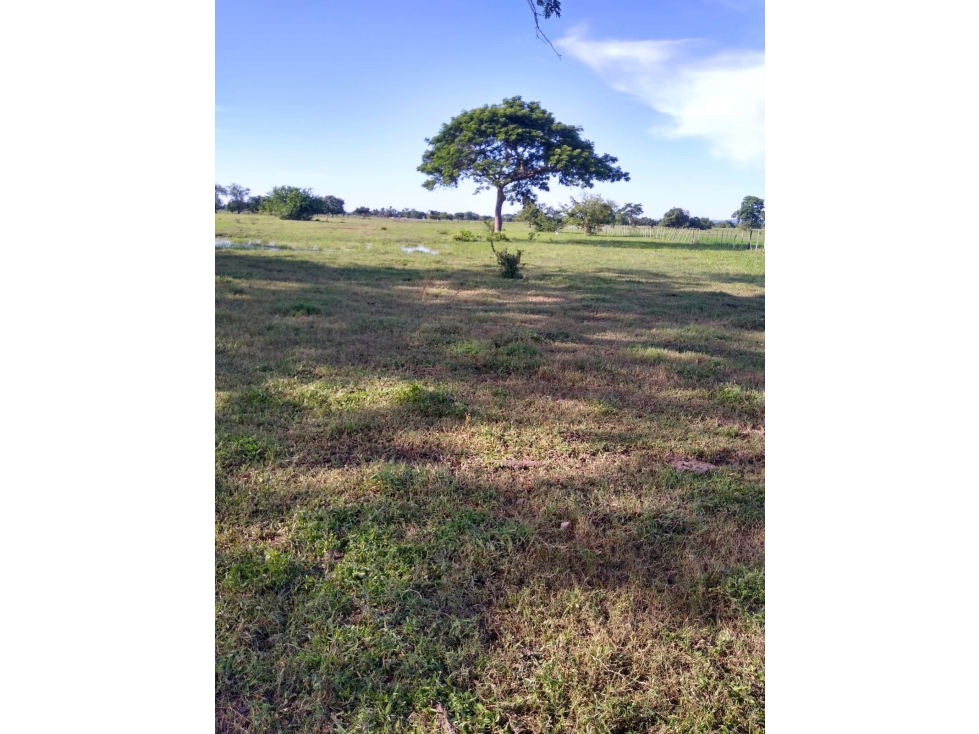 LOTE en Gestion - Lorica, Cordoba - 1