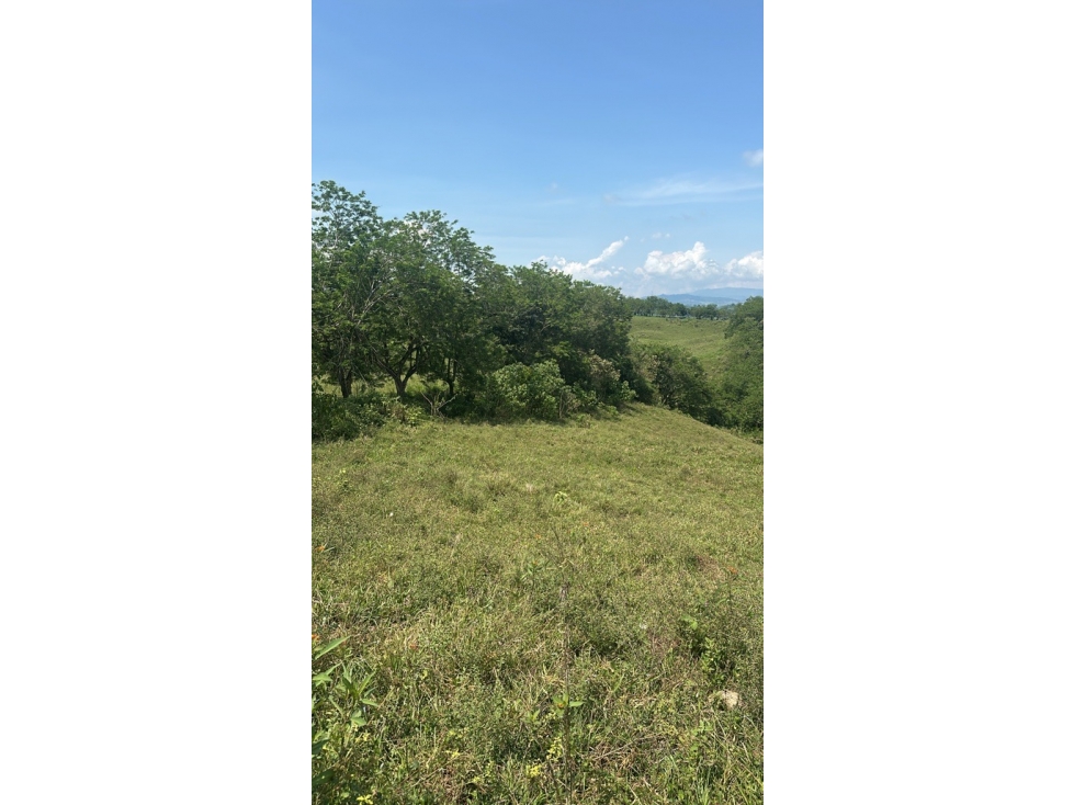 LOTE en Gestion - Manizales, Caldas - 1