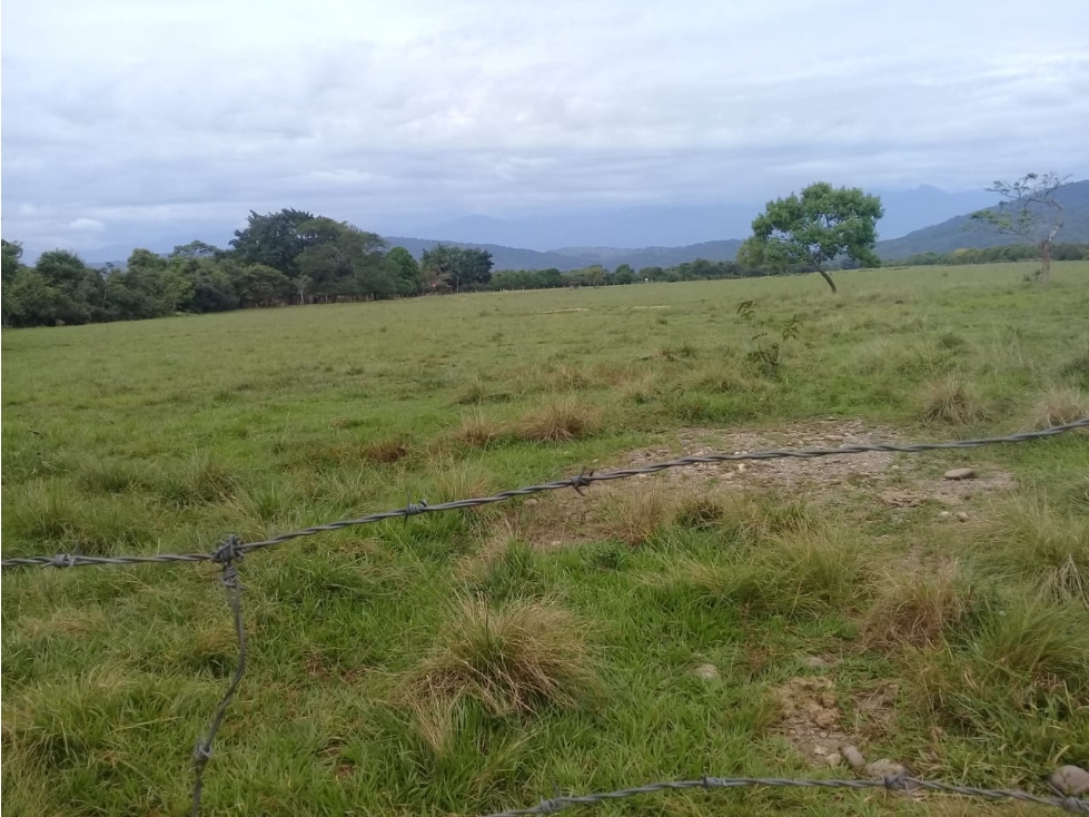 LOTE en Gestion - Medina, Cundinamarca