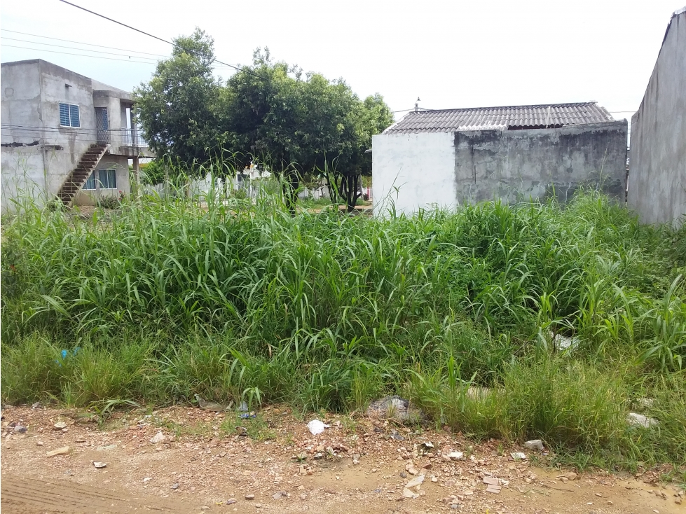 LOTE en Gestion - Monteria, Cordoba
