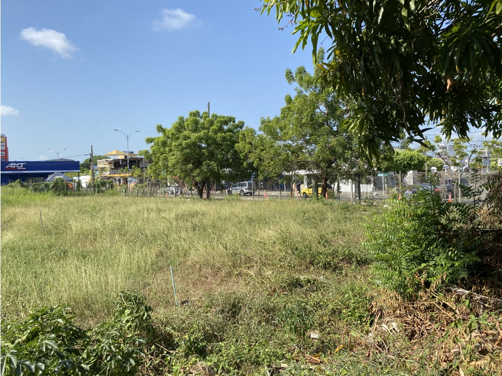 LOTE en Gestion - Monteria, Cordoba