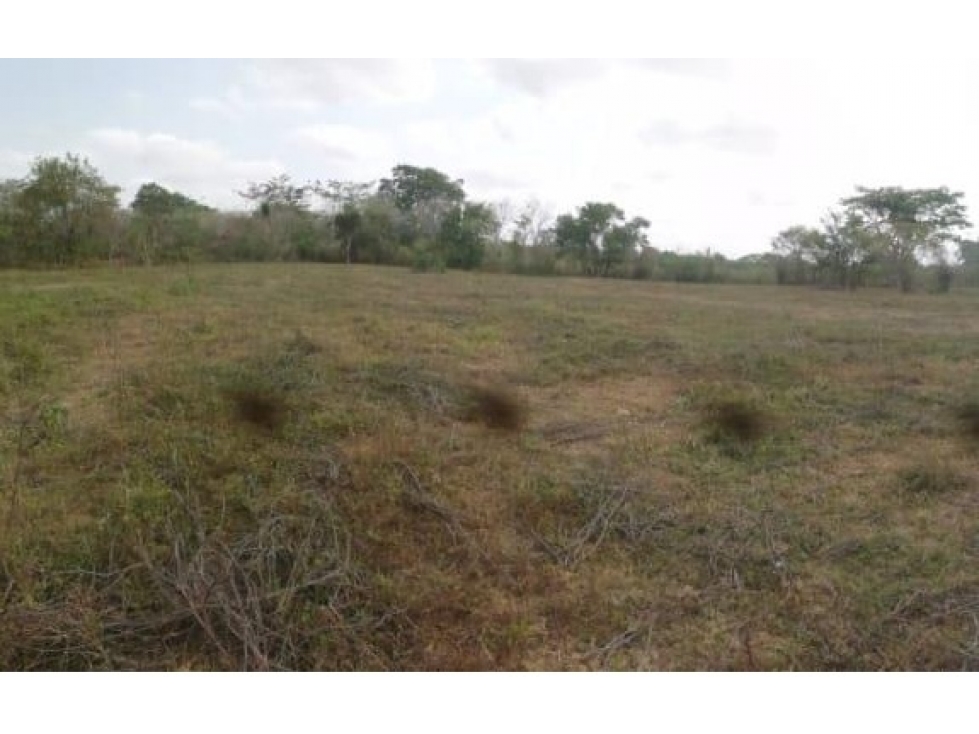 LOTE en Gestion - Monteria, Cordoba