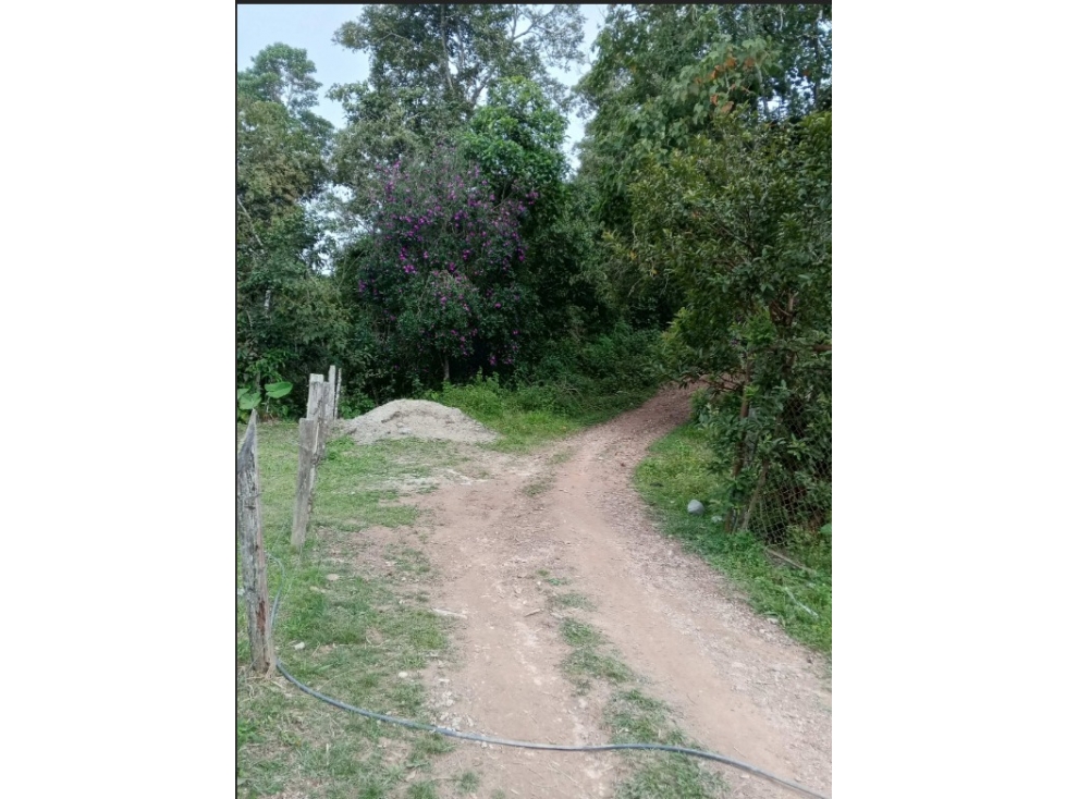 LOTE en Gestion - ORTEGA, TOLIMA - 6