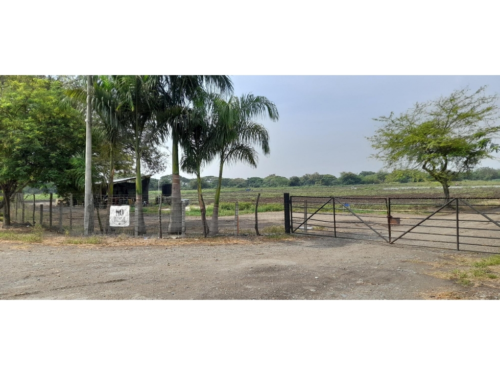 LOTE en Gestion - Palmira, Valle Del Cauca