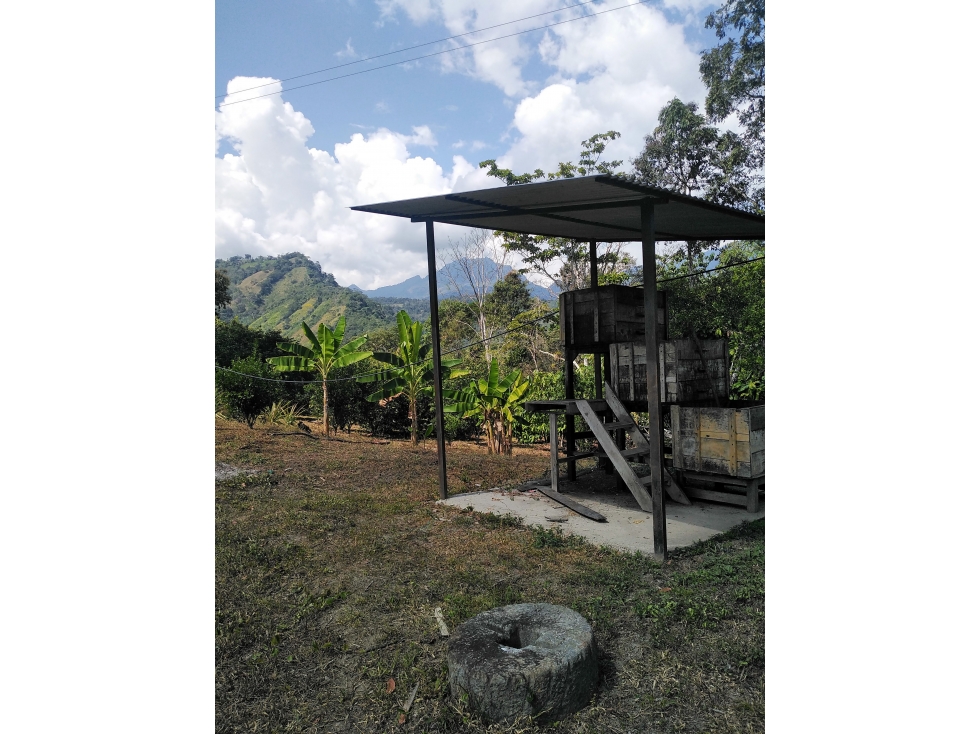 LOTE en Gestion - Pauna, Boyaca - 1