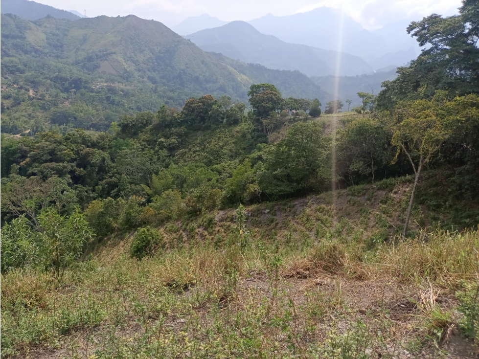 LOTE en Gestion - Pauna, Boyaca - 1