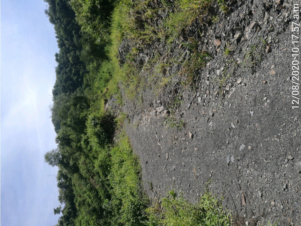 LOTE en Gestion - Pauna, Boyaca - 1