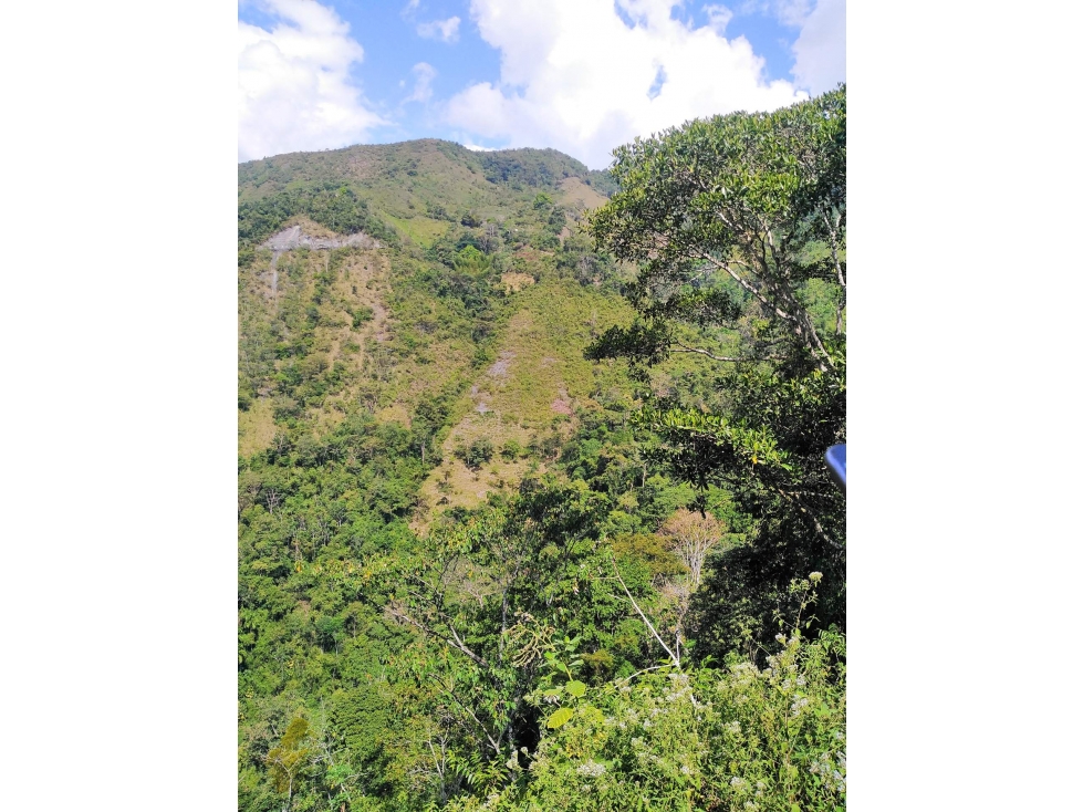 LOTE en Gestion - Pauna, Boyaca - 1