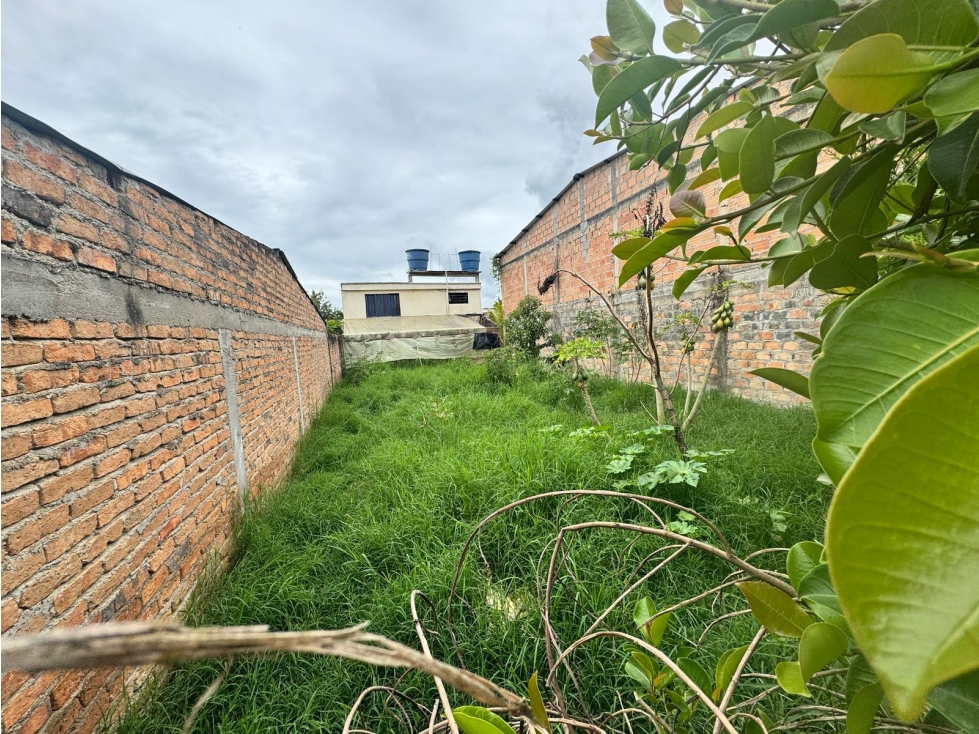 LOTE en Gestion - Pitalito, Huila - 1