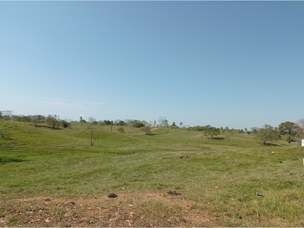 LOTE en Gestion - Planeta Rica, Cordoba - 1