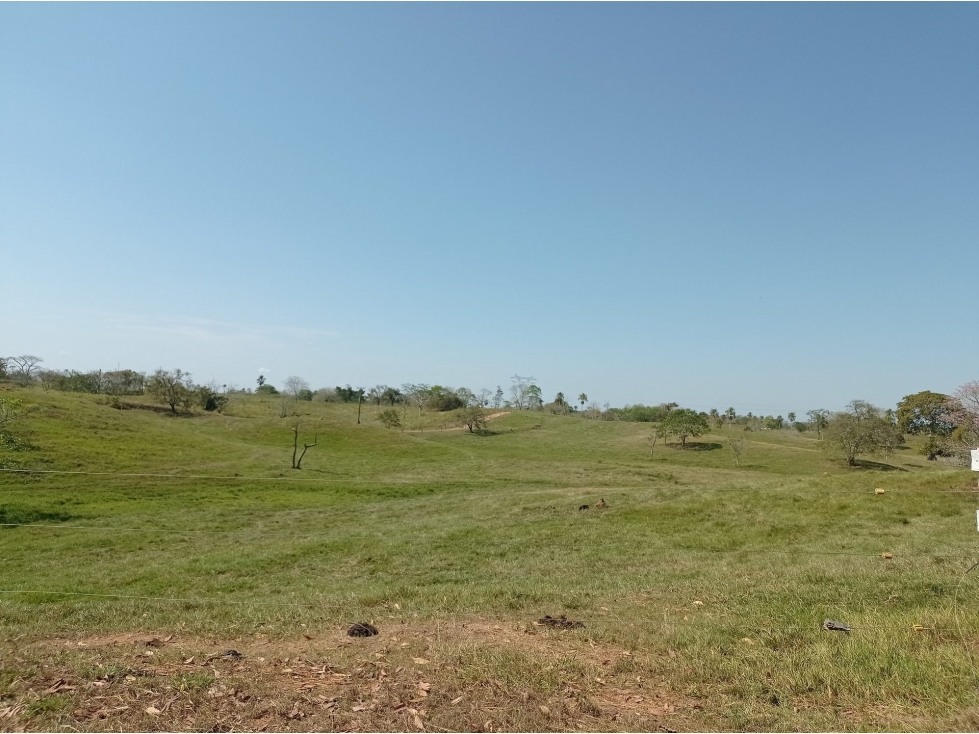 LOTE en Gestion - Planeta Rica, Cordoba — foto 2