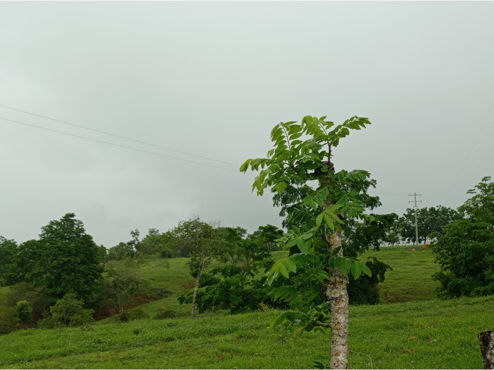 LOTE en Gestion - Pueblo Nuevo, Cordoba - 1