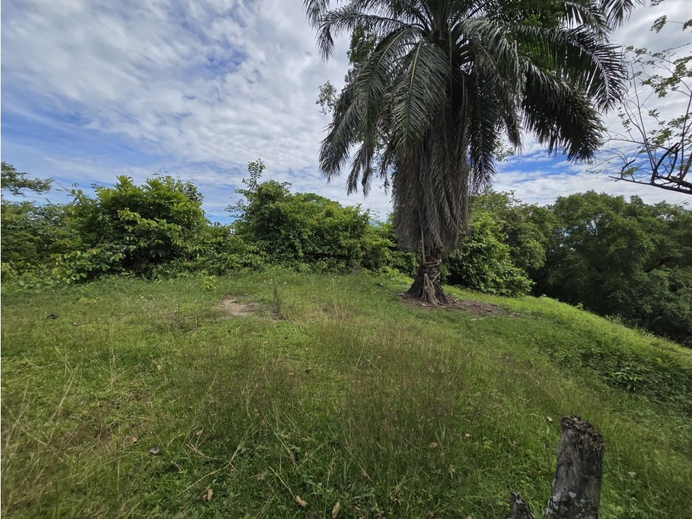 LOTE en Gestion - PUERTO BOYACÁ, BOYACA - 1