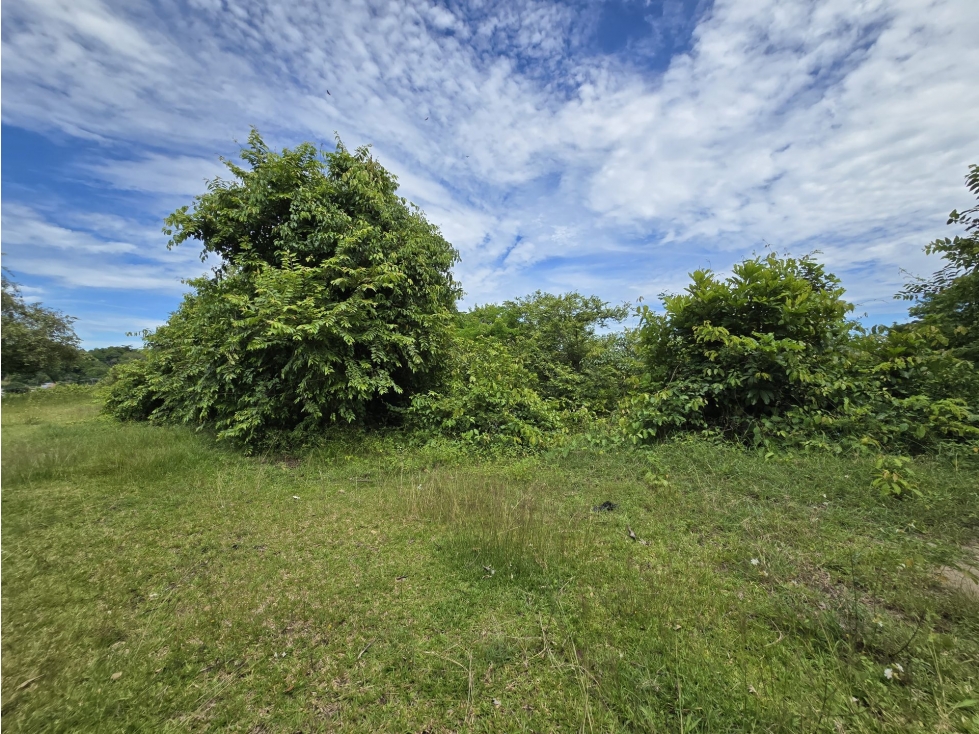 LOTE en Gestion - PUERTO BOYACÁ, BOYACA - 4