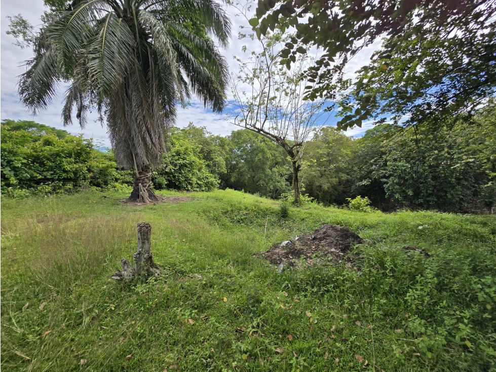 LOTE en Gestion - PUERTO BOYACÁ, BOYACA - 5
