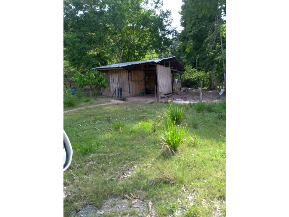 LOTE en Gestion - Puerto Boyaca, Boyaca - 1