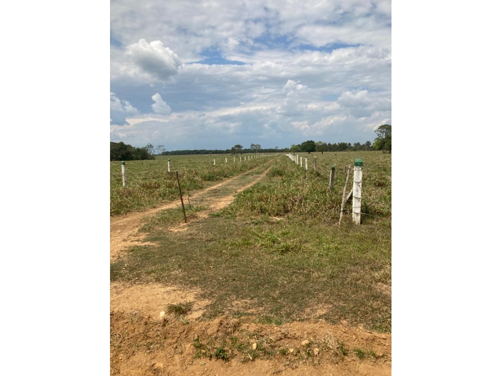 LOTE en Gestion - Puerto Lopez, Meta