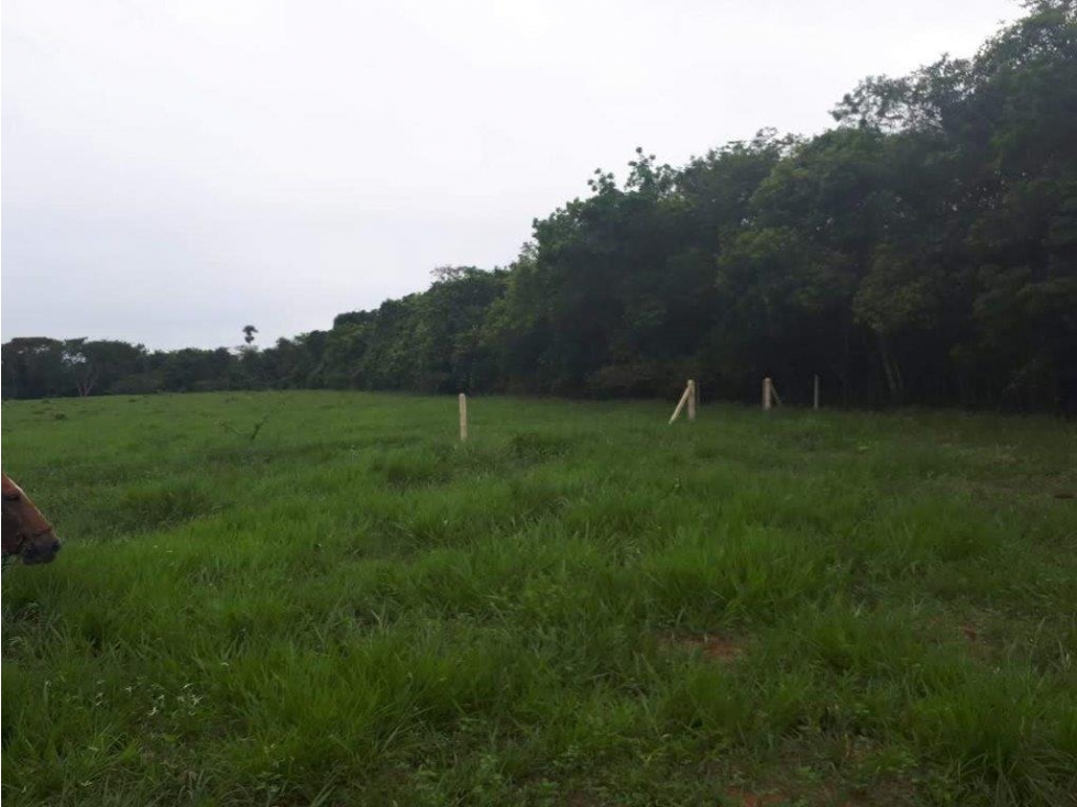 LOTE en Gestion - Puerto López, Meta - 1
