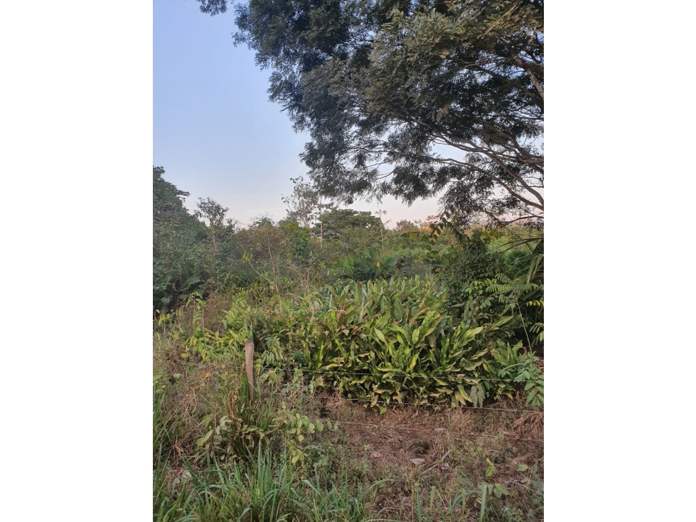 LOTE en Gestion - Sahagun, Cordoba - 1