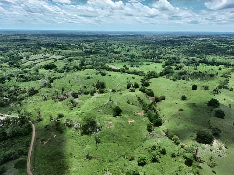 LOTE en Gestion - Sahagun, Cordoba - 1